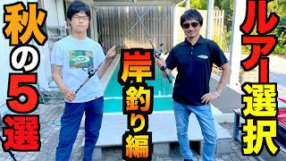 【秋のバス釣りルアーセレクション】秋に絶対釣りたい実戦岸釣りルアー５選を徹底解説します！