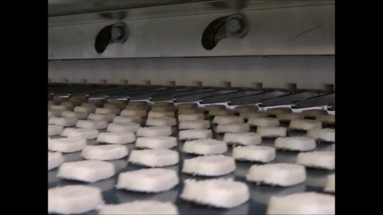 POLIN Industrial Depositing Line for Wire-Cut Cookies - ProBAKE Bakery Equipment
