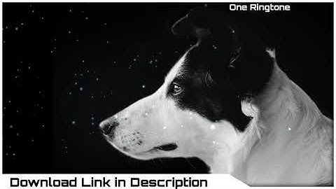 Thumbnail of Dog Barking Sound Effect Loud 🐶 Dog Barking Sound Effect Royalty Free | Download Mp3