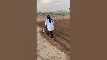 Mini Tiller Machine in Action | Powerful Farming Tool for Easy Soil Preparation part 947