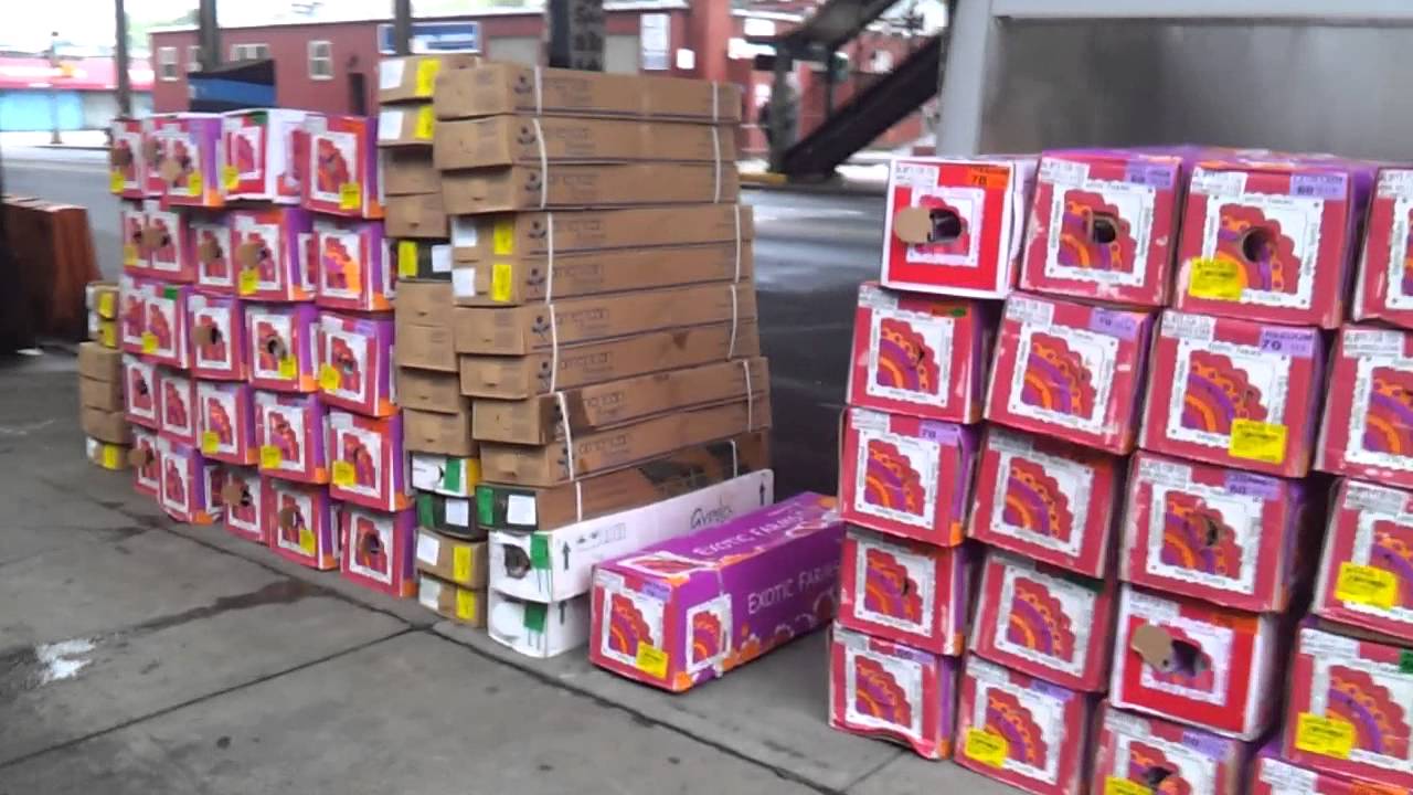 Roses for wholesale bulk