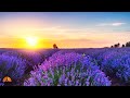 Ethereal wake up music  conquer anxiety negativity  stress  the road to happiness 432hz