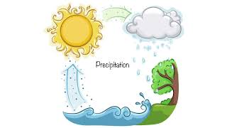 The Stages In The Water Cycle