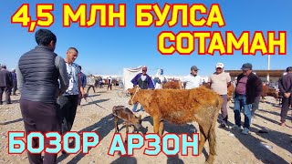 ЕМ ЙУК МОЛ АРЗОН! ОНА БОЛА СИГИР НАРХЛАРИ КАРШИ МОЛ БОЗОРИДА