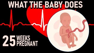 WHAT THE BABY DOES AT 25 Weeks of Pregnancy