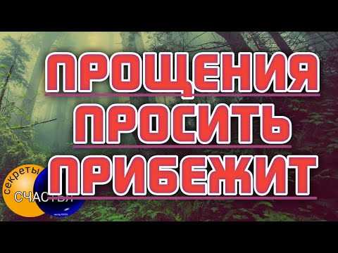 ОСОЗНАЕТ ВИНУ, РАСКАЕТСЯ будет просить прощения, мастер Катя, секреты счастья