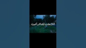 القارئ خالد الرياعي