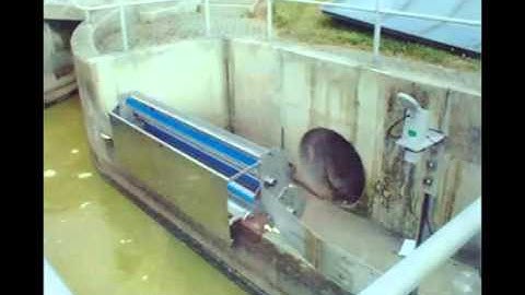 STORMSCREEN - video + animazione (2.30 minuti, audio)