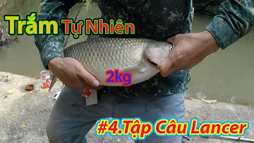 Quay Lại Bãi Câu Lure Huyền Thoại Để Câu Lancer(Lăng Xê) Và Cái Kết || Tập Câu Lancer(Lăng Xê) P4