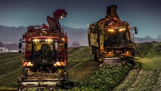 Wielki, ciężki wykop i załadunek buraków zimą  Wyciąganie tirów! CaseTeam