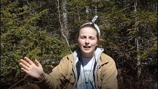 Spotlight Student Sara Johnson