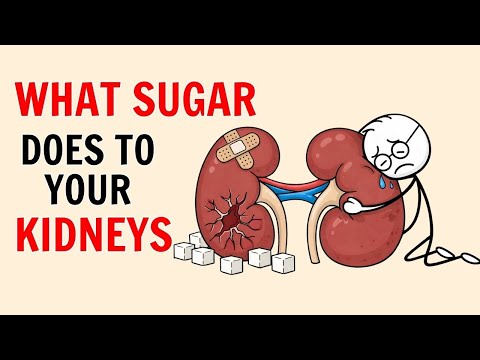 What Happens to Your Kidneys If You Quit Sugar for 30 Days? | Science Explained