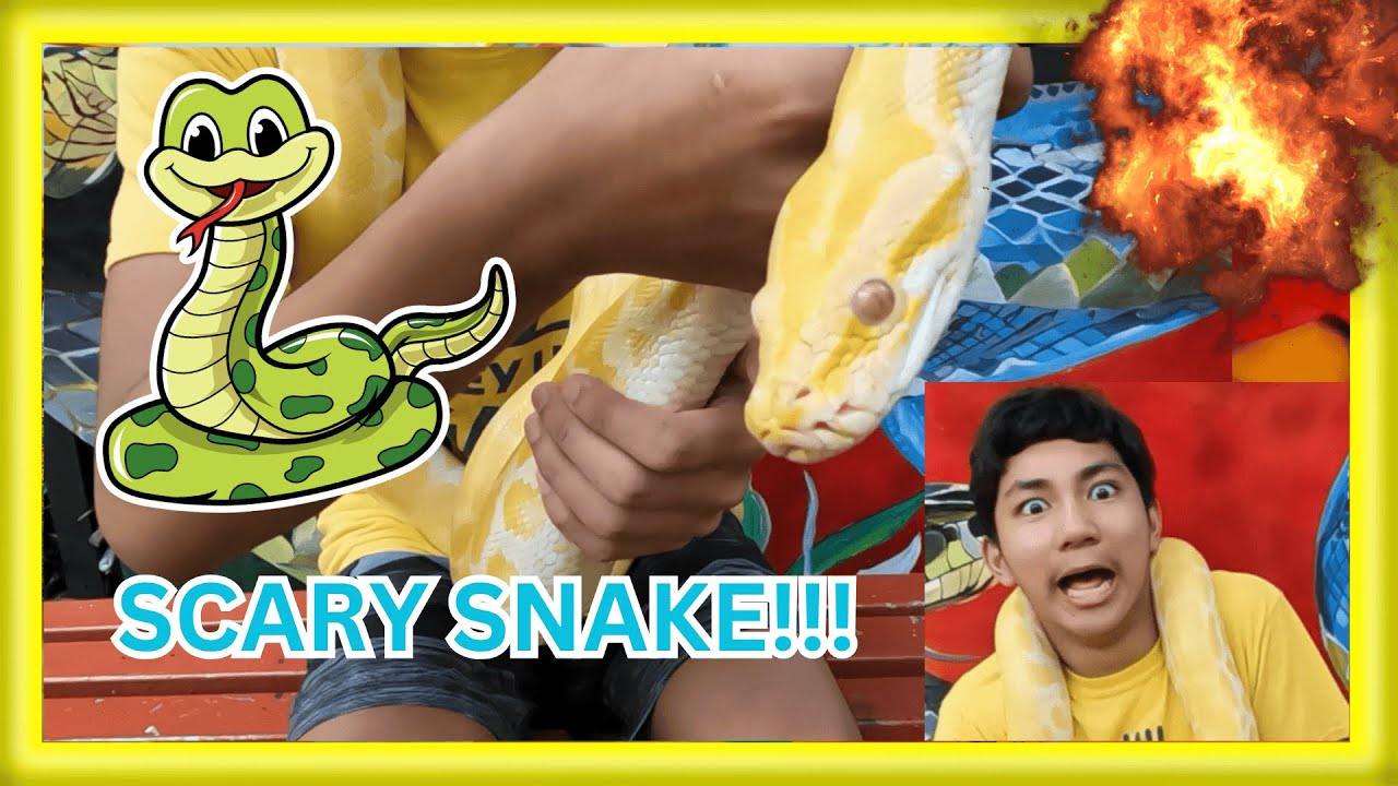 Kids Surprise Snake Birthday! - (2024)