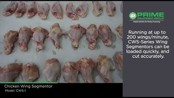 CWS-1 -  Chicken Wing Segmentor - Small bird