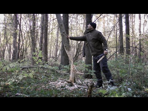 Видео: Рубка дерева ножом | Метод бобра | Высечение искры