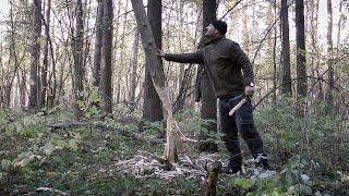Рубка дерева ножом | Метод бобра | Высечение искры