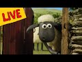 Shaun The Sheep TV! Brand New Live Stream - Full Episodes - Cartoons for kids - Holiday Stream!