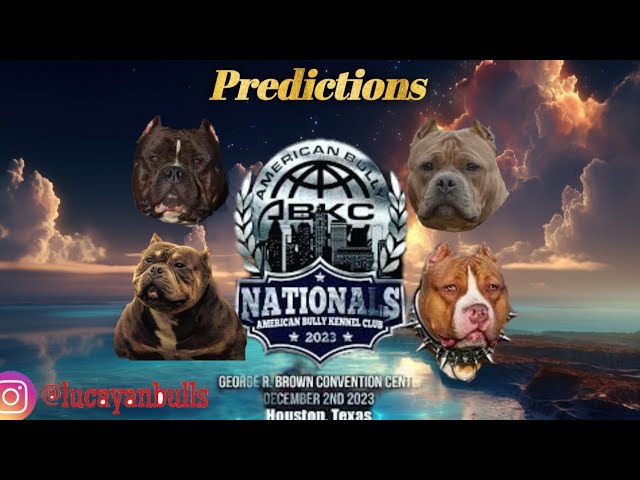 ABKC Nationals 2023, ABKC, UKC, East Coast dog events, Southern dog shows,  American Bully, French Bulldog