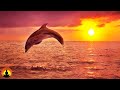 🔴 Relaxing Music 24/7, Meditation Music, Sleep Music, Yoga, Zen, Sleeping Music, Study Music, Sleep