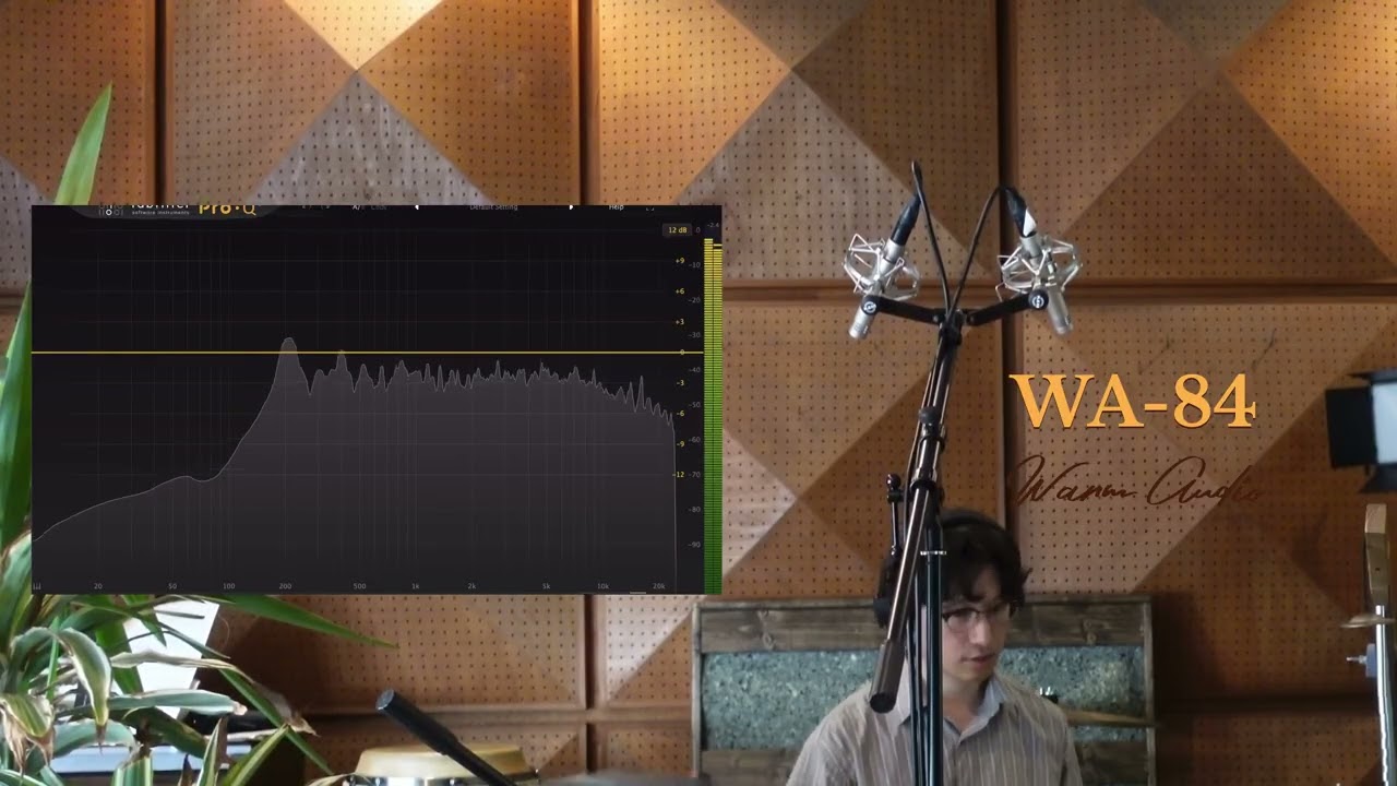 製品レビュー】WARM AUDIO / WA-84 by Haruki Ishida｜サウンドハウス