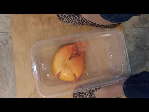 Homemade grapefruit juice