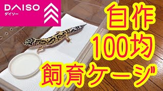 100均グッズでヒョウモントカゲモドキの飼育