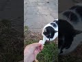 милая🐈ОХРАНА🐕