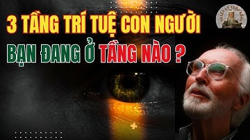 3 Tầng Trí Tuệ của Con Người sẽ Thay Đổi Cách Bạn Sống! Bạn đang ở tầng nào??