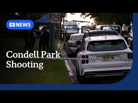 Condell Park shooting was a 'brutal, targeted' attack: NSW Police | ABC NEWS Episode cover