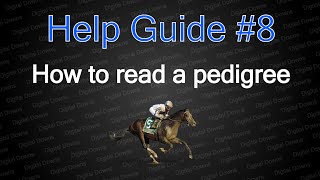 Famous How to read horse pedigrees | Help guide #8 ✅ Profile