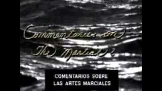 La Entrevista Perdida a Bruce Lee online