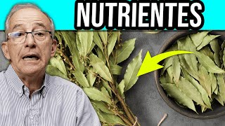 🌿 Nutrientes Del Laurel Que Cuidan Tu Salud - Oswaldo Restrepo Rsc S