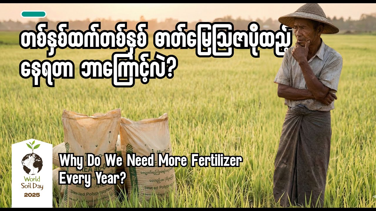 တစ်နှစ်ထက်တစ်နှစ် မြေသြဇာပိုထည့်နေရတာ ဘာကြောင့်လဲ?