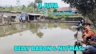 BORONGAN MANCING IKAN BELLY BABON & NYI'MAS !! HARGA 3 JUTA @7 PESERTA