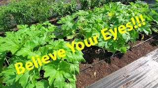 Download Lagu Electroculture Part 1 MP3