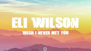 Eli Wilson - Wish I Never Met You ( Lyrics Video )