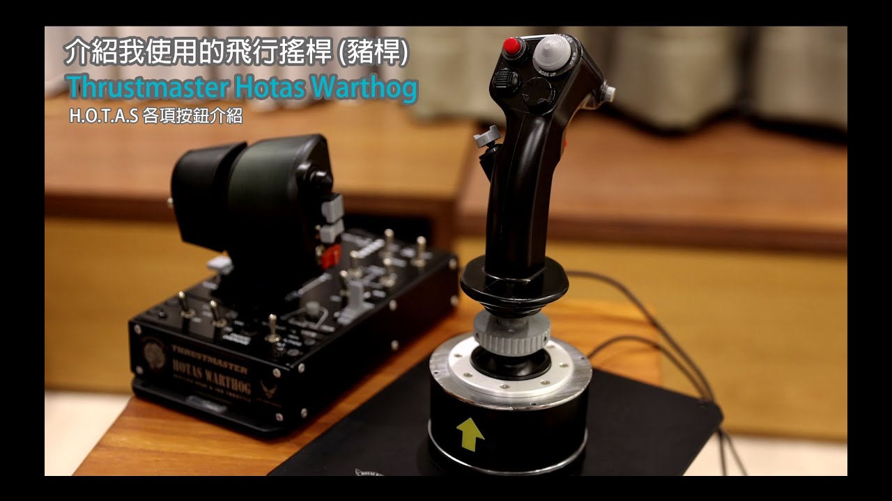 介紹我使用的飛行搖桿 (豬桿) Thrustmaster Hotas Warthog