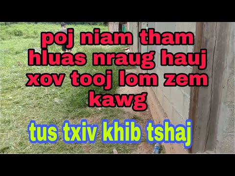 Video: Lub Hom Phiaj Twg Ncig Ua Si Yog Qhov Pheej Yig Tshaj