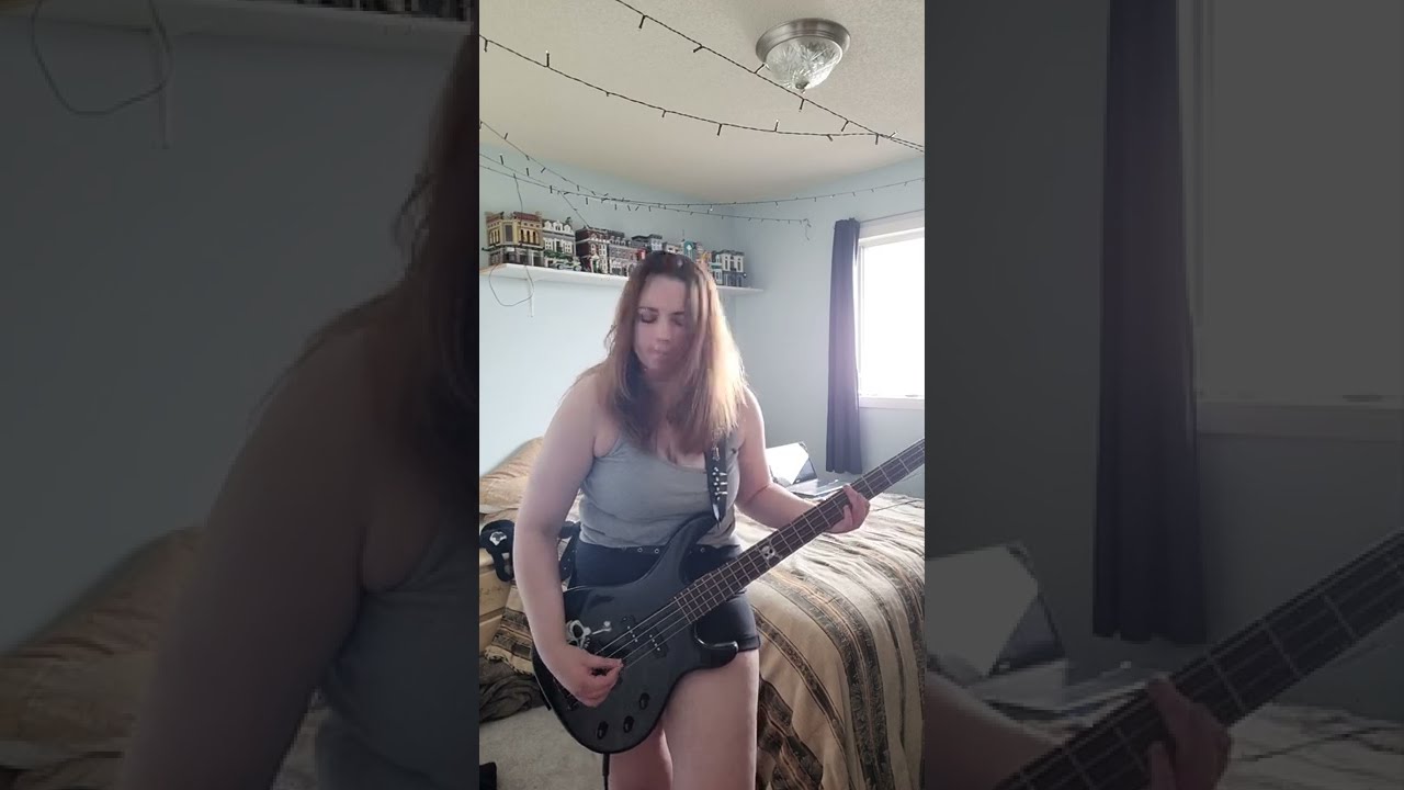 Having an Average Weekend (Kids in the Hall theme song) bass cover