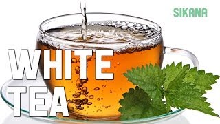 Learn how to brew tea properly: White tea