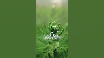 أستغفرالله سوره هود آيه 52