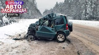 картинка: Египетская Сила! Зимний Сезон Торопыг и Водятлов