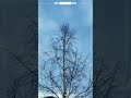 syksyllä ennen lumia