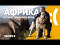 В сторону Гибралтара. Куда запропастился Иван?