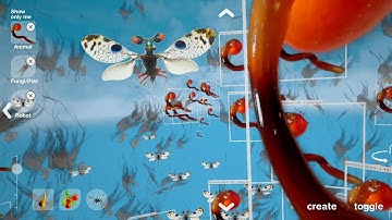 Speculative Evolution, Mobile App as Interface for Installations, Screen recording, Marc Lee, 2024