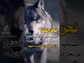 نحن الي يضرب بينا المثل نحن الي يضرب بينا المثل