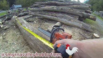 A big Ash log!  How much firewood is there?  @smyrnavalleyhobbyfarm