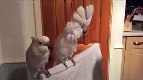 When your friend starts getting a into it a bit mu...