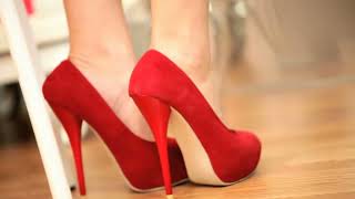 Different Women Wearing Fashionable High Heels