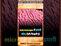 microscope images in Hindi detail #trending #gk #virulshorts #facts